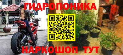 крисы Бузулук
