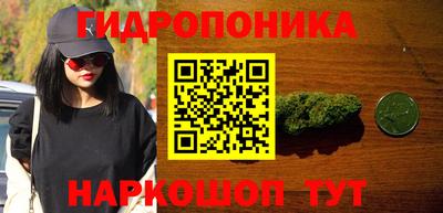крисы Бузулук