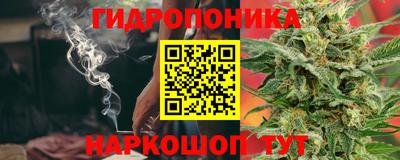крисы Бузулук