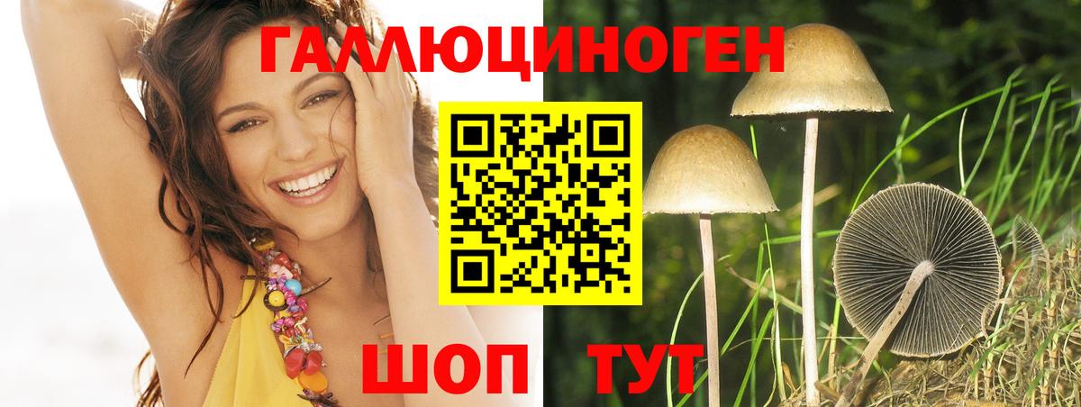 Псилоцибиновые грибы ЛСД Рубцовск