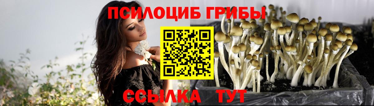 Рубцовск  дарнет шоп  Вход с VPN  Псилоцибиновые грибы прущие грибы 